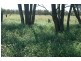 Bollon QLD 4488