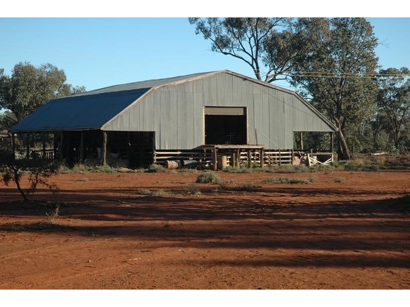 Bollon QLD 4488