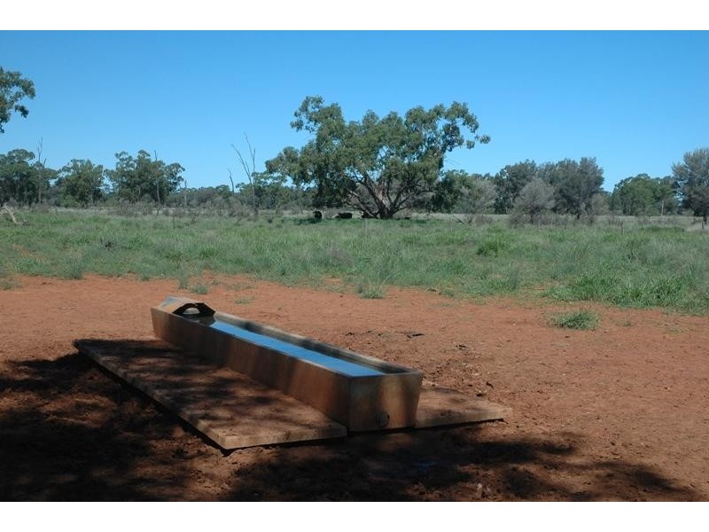 Bollon QLD 4488
