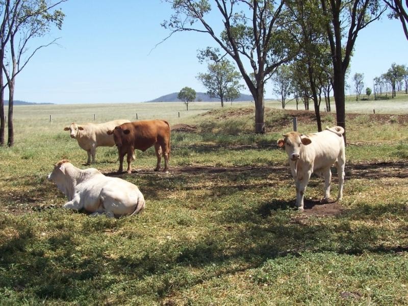 70 Huths Road, Woodmillar QLD 4625