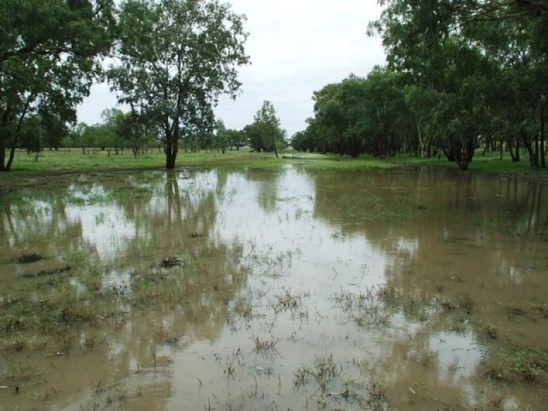 180 Commissioners Point Road, St George QLD 4487