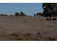 Talwood QLD 4496
