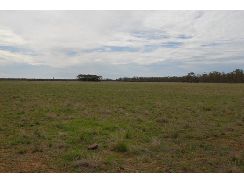 Talwood QLD 4496