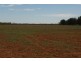 Talwood QLD 4496