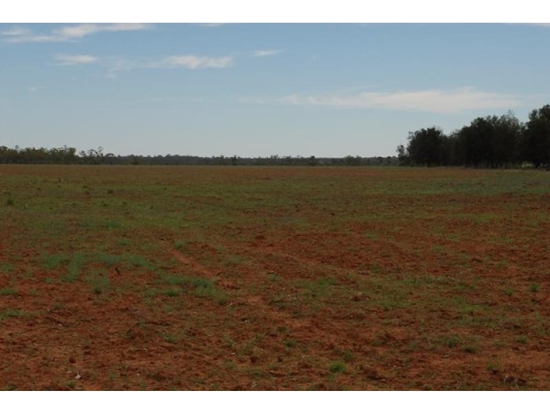 Talwood QLD 4496