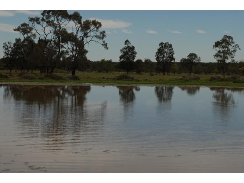 Talwood QLD 4496
