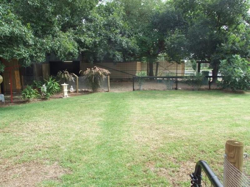 9 Mary St, Bollon QLD 4488