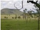 Springsure QLD 4722