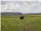 Springsure QLD 4722