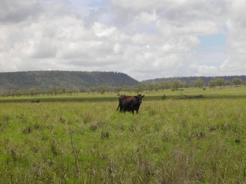 Springsure QLD 4722