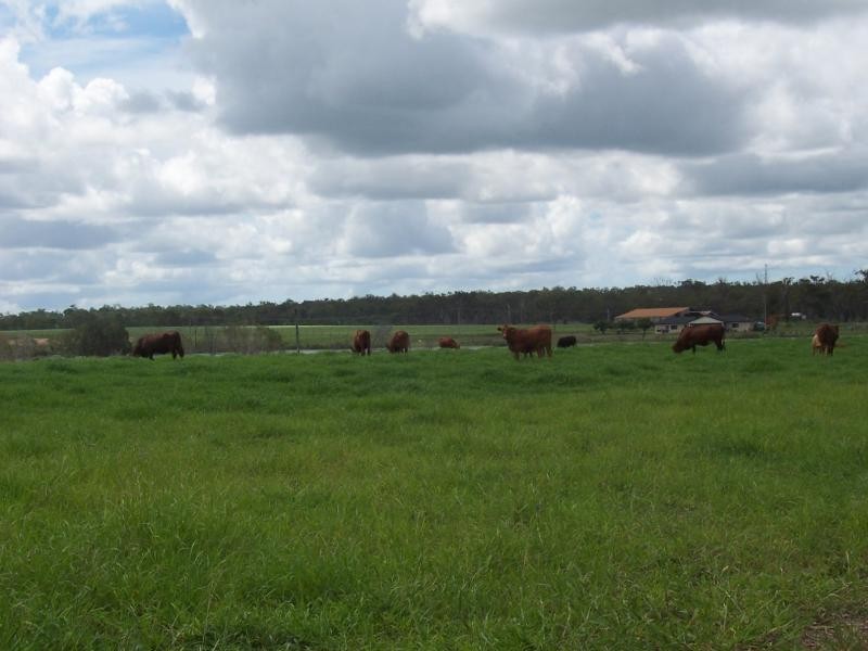 5 Wollombi Place, Elliott QLD 4670