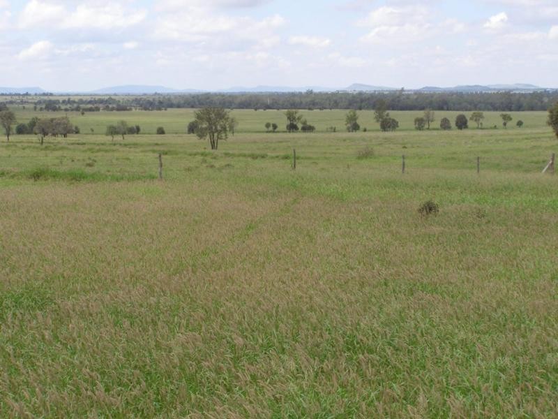 1531 Baralaba Banana Road, Banana QLD 4702