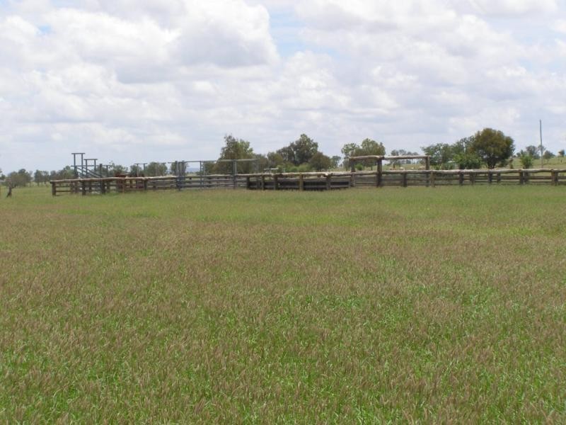 1531 Baralaba Banana Road, Banana QLD 4702