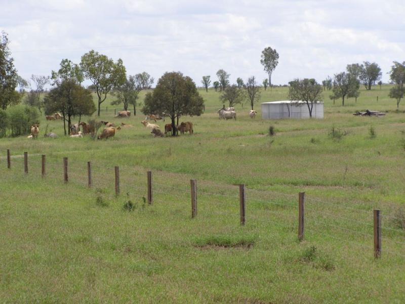 1531 Baralaba Banana Road, Banana QLD 4702