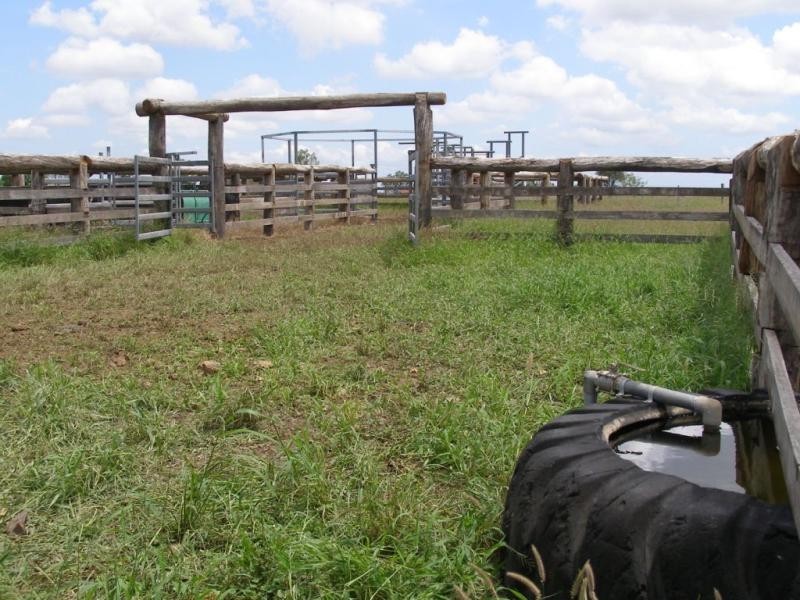 1531 Baralaba Banana Road, Banana QLD 4702