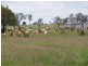 1531 Baralaba Banana Road, Banana QLD 4702