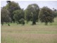 1531 Baralaba Banana Road, Banana QLD 4702