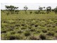 Richmond QLD 4740