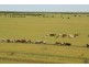 Richmond QLD 4740