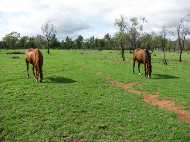 26 Acres, Rural Hideaway, Bell QLD 4408