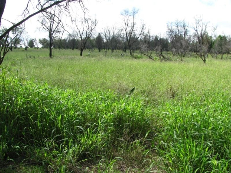 26 Acres, Rural Hideaway, Bell QLD 4408