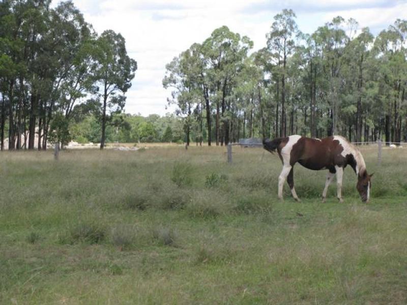 463 ACRES LIFESTYLE PROPERTY, Miles QLD 4415