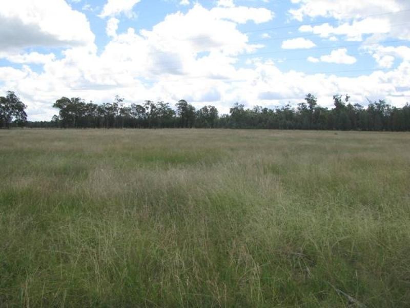 463 ACRES LIFESTYLE PROPERTY, Miles QLD 4415