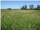 ORIENT, 5372 ACRES QUALITY GRAZING, Miles QLD 4415