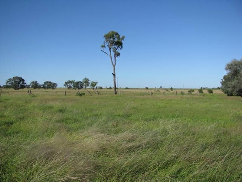 ORIENT, 5372 ACRES QUALITY GRAZING, Miles QLD 4415