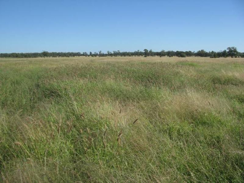 ORIENT, 5372 ACRES QUALITY GRAZING, Miles QLD 4415