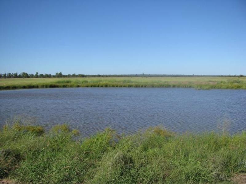 ORIENT, 5372 ACRES QUALITY GRAZING, Miles QLD 4415