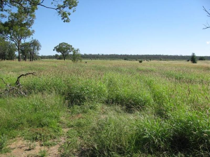ORIENT, 5372 ACRES QUALITY GRAZING, Miles QLD 4415