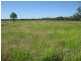 ORIENT, 5372 ACRES QUALITY GRAZING, Miles QLD 4415