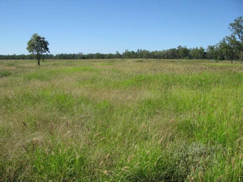 ORIENT, 5372 ACRES QUALITY GRAZING, Miles QLD 4415