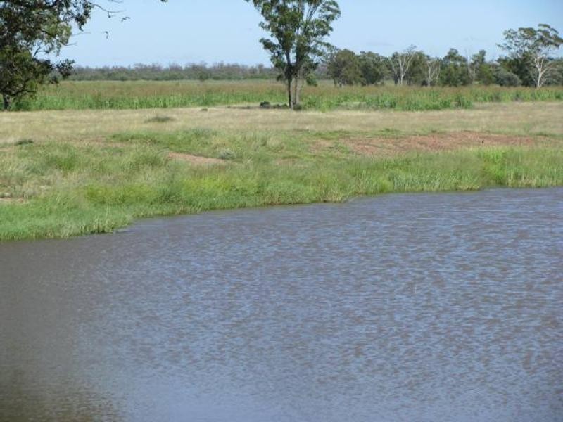 ORIENT, 5372 ACRES QUALITY GRAZING, Miles QLD 4415