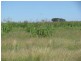 ORIENT, 5372 ACRES QUALITY GRAZING, Miles QLD 4415