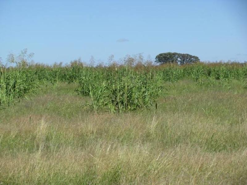 ORIENT, 5372 ACRES QUALITY GRAZING, Miles QLD 4415