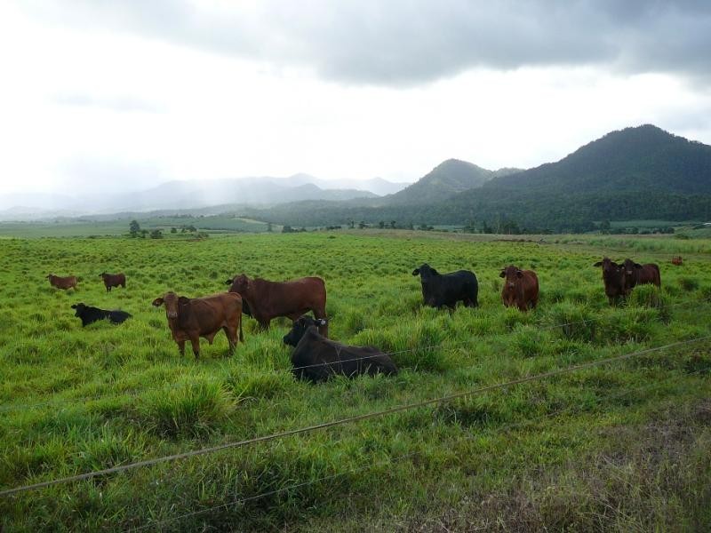 0 GATTERA ROAD, Innisfail QLD 4860