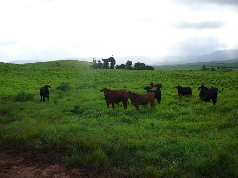 0 GATTERA ROAD, Innisfail QLD 4860