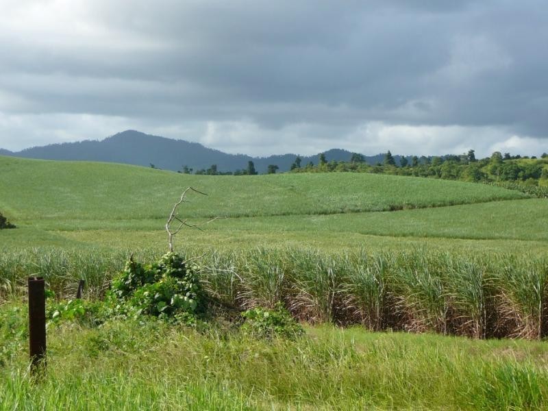 0 GATTERA ROAD, Innisfail QLD 4860