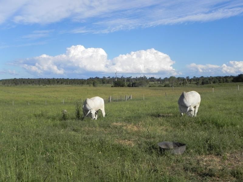South Bingera QLD 4670
