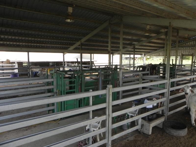 South Bingera QLD 4670