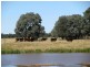 3500 ACRES GRAZING PROPERTY, Tara QLD 4421