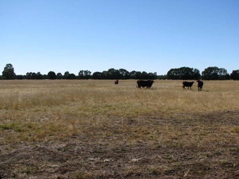 3500 ACRES GRAZING PROPERTY, Tara QLD 4421