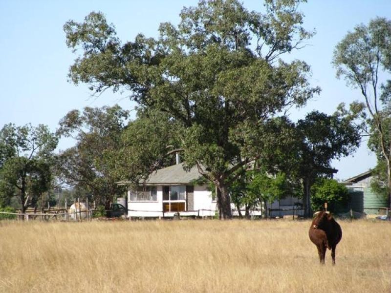 3500 ACRES GRAZING PROPERTY, Tara QLD 4421