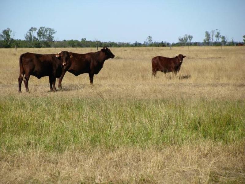 3500 ACRES GRAZING PROPERTY, Tara QLD 4421