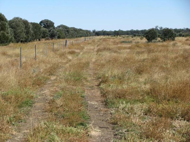 3500 ACRES GRAZING PROPERTY, Tara QLD 4421