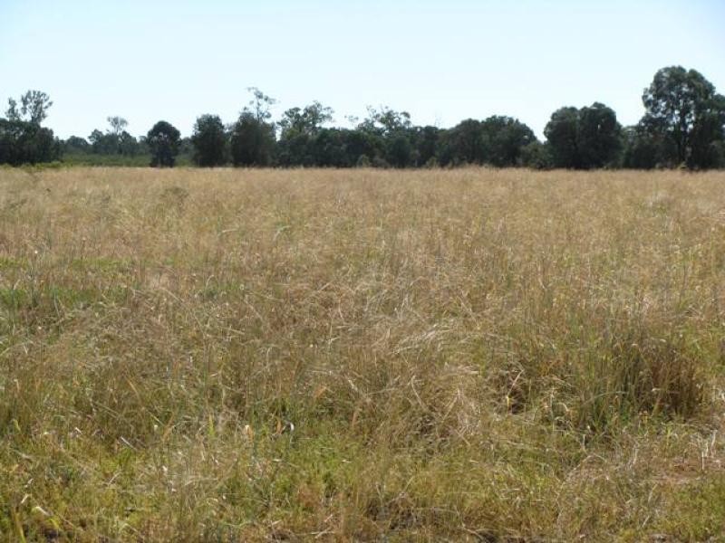 3500 ACRES GRAZING PROPERTY, Tara QLD 4421