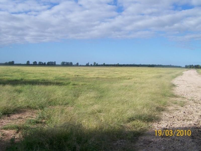 4771 ACRES WELL IMPROVED CATTLE PROPERTY, Tara QLD 4421