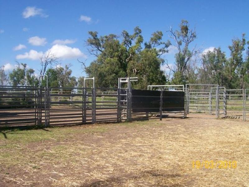 4771 ACRES WELL IMPROVED CATTLE PROPERTY, Tara QLD 4421